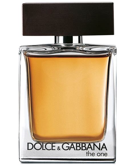 dolce gabbana the one for him macy's|Dolce & Gabbana The One .